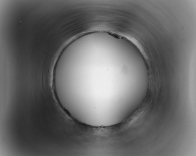 X0000089830815200707191825