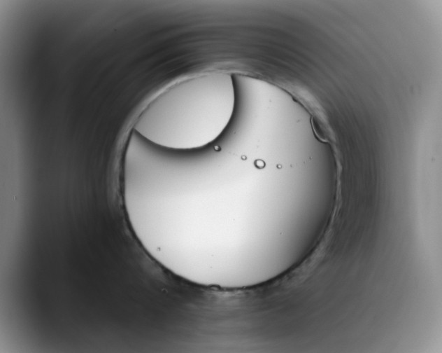 X0000089830816200707191825