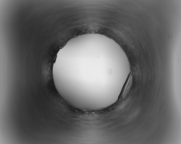 X0000089830818200707191824