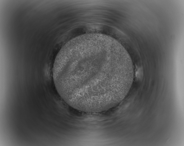 X0000089830819200707191824