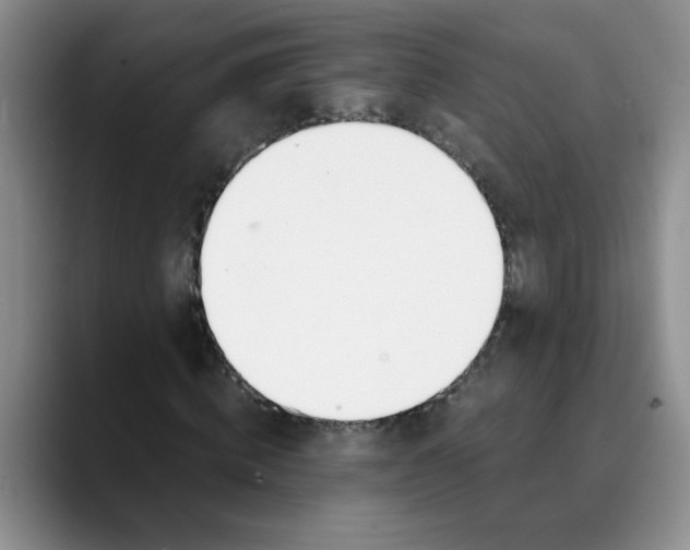 X0000089830820200707191824