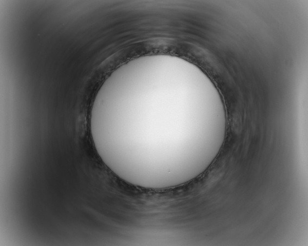 X0000089830821200707191824