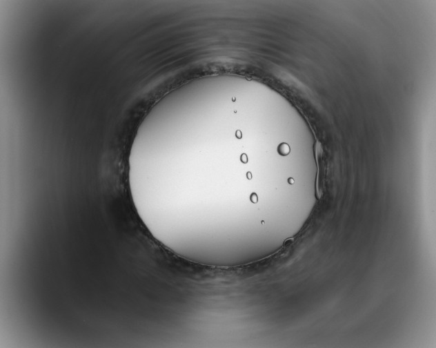 X0000089830822200707191824