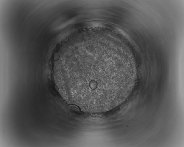 X0000089830823200707191824