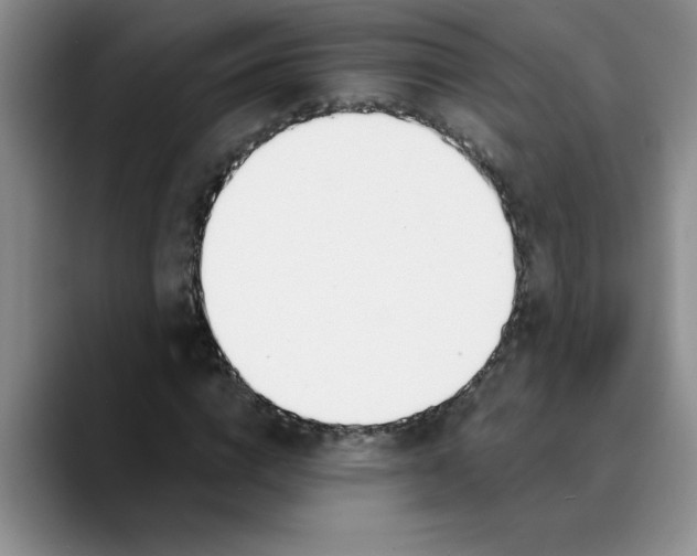 X0000089830824200707191824