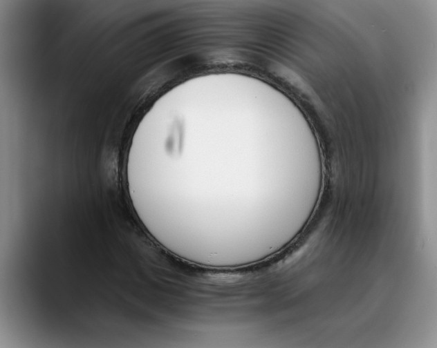 X0000089830825200707191824