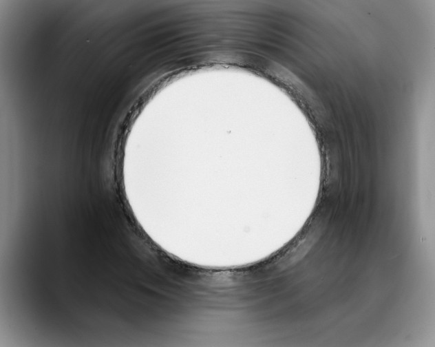 X0000089830828200707191824