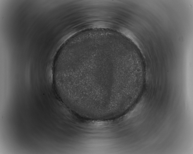 X0000089830829200707191824