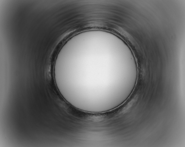 X0000089830830200707191824