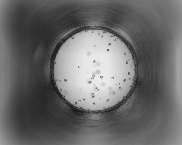 X0000089830831200707191824