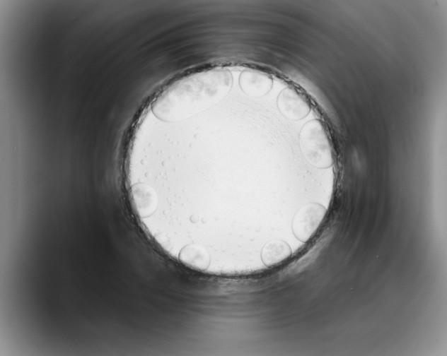 X0000089830832200707191824