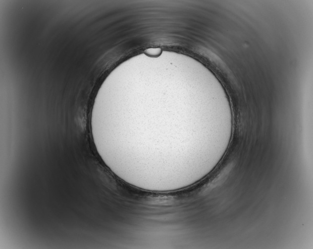 X0000089830833200707191824