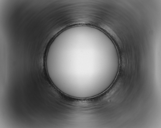 X0000089830834200707191824