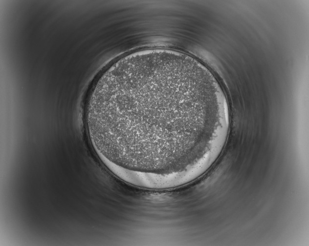 X0000089830835200707191824