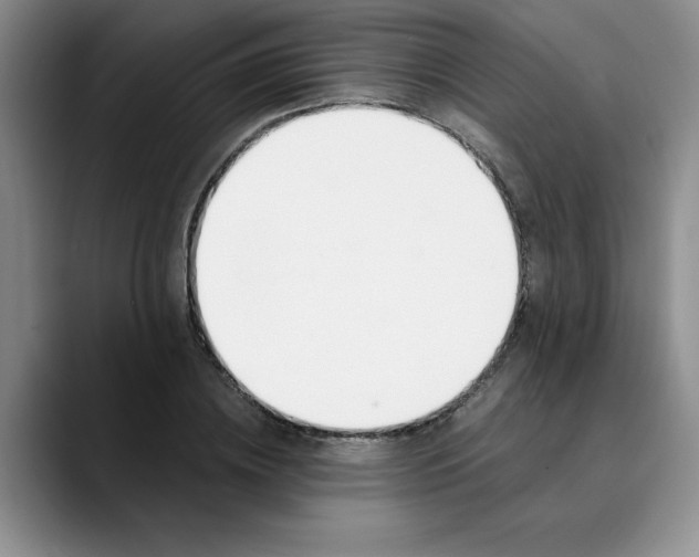 X0000089830836200707191824