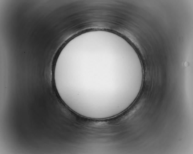 X0000089830837200707191824