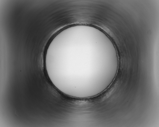 X0000089830838200707191824