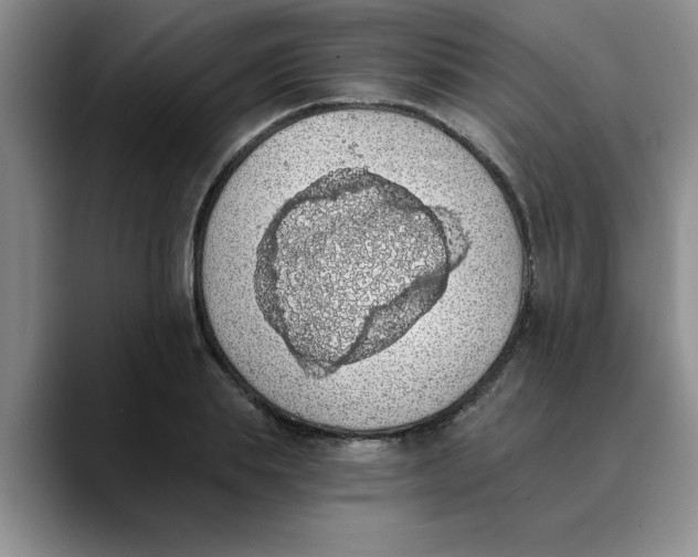 X0000089830839200707191824