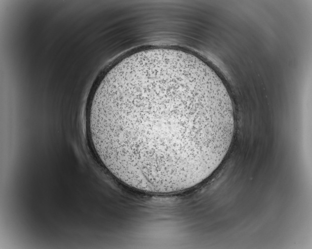 X0000089830840200707191824