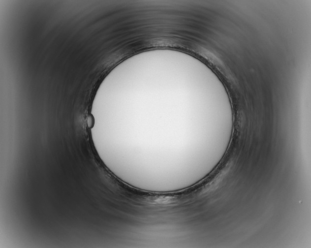 X0000089830841200707191824