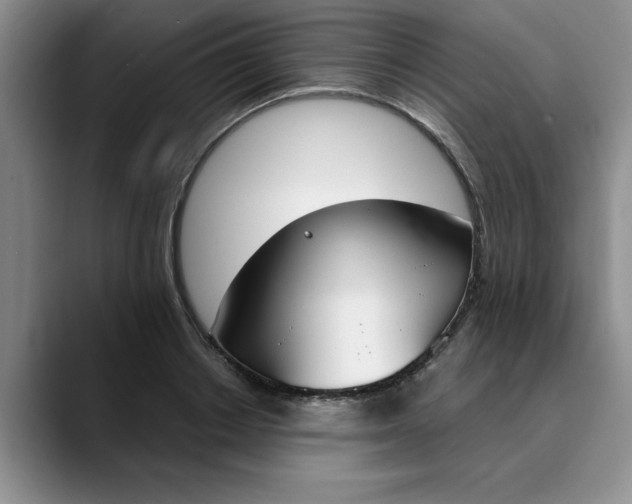 X0000089830842200707191824