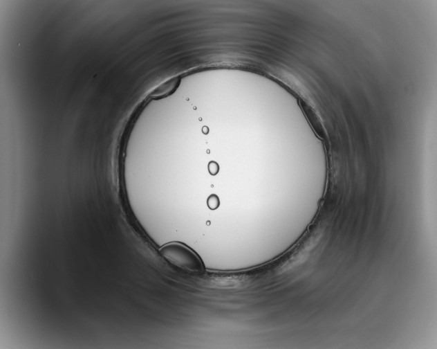 X0000089830843200707191824