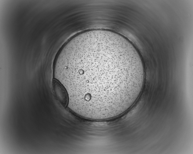 X0000089830844200707191824