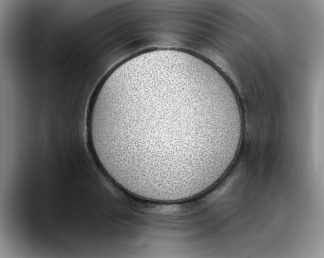 X0000089830845200707191824