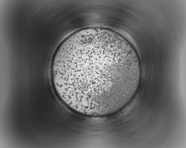 X0000089830847200707191824