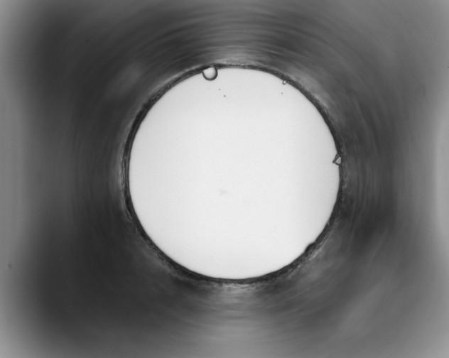 X0000089830848200707191824