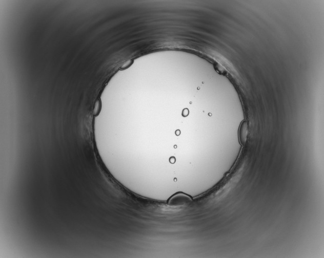 X0000089830849200707191824