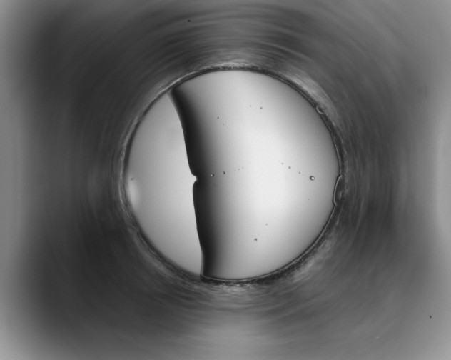 X0000089830850200707191824