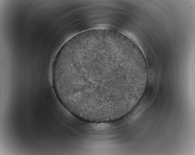 X0000089830851200707191824