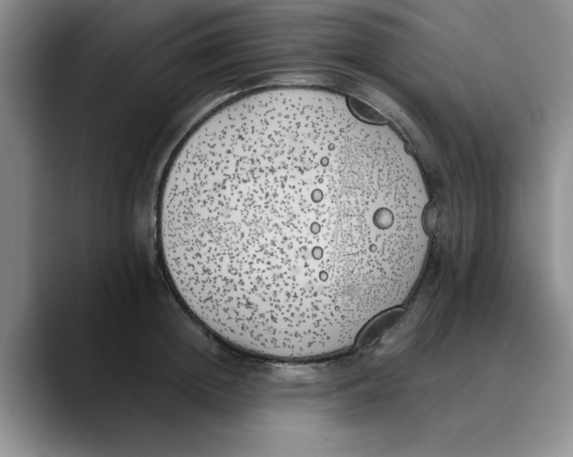 X0000089830852200707191824