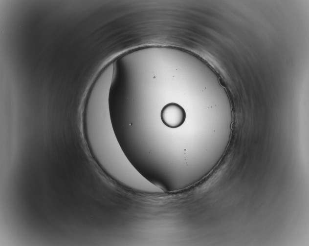 X0000089830854200707191825