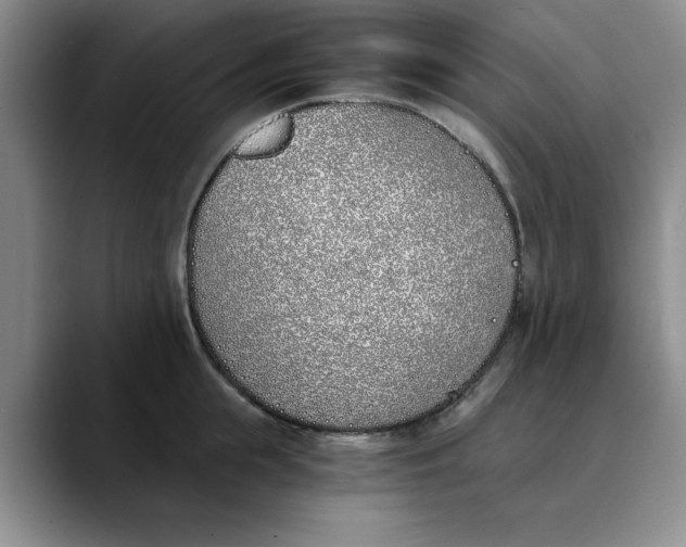 X0000089830855200707191825