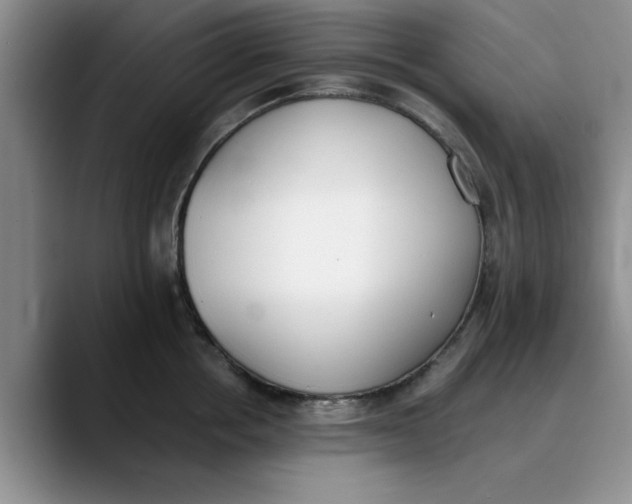 X0000089830858200707191825