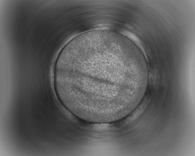 X0000089830859200707191825