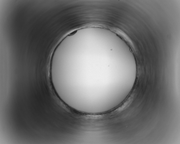 X0000089830860200707191825