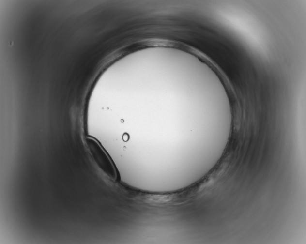 X0000089830861200707191825