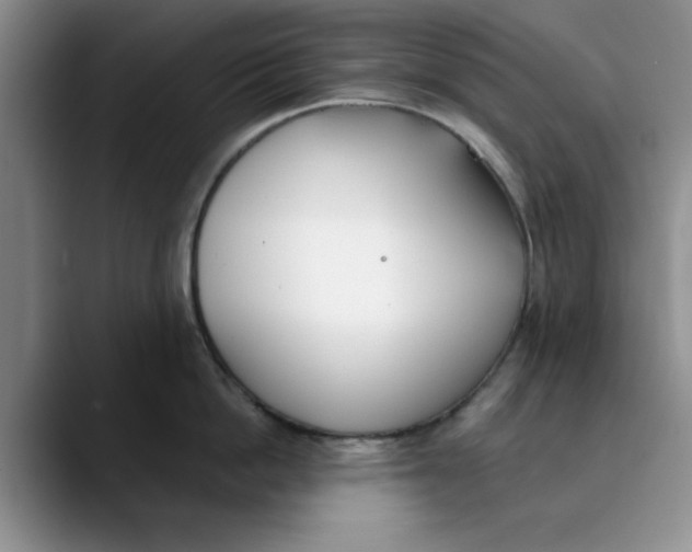 X0000089830862200707191825