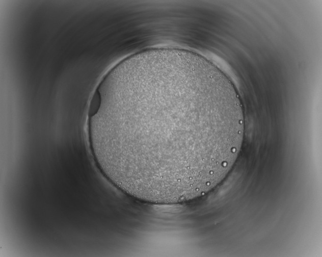 X0000089830863200707191825