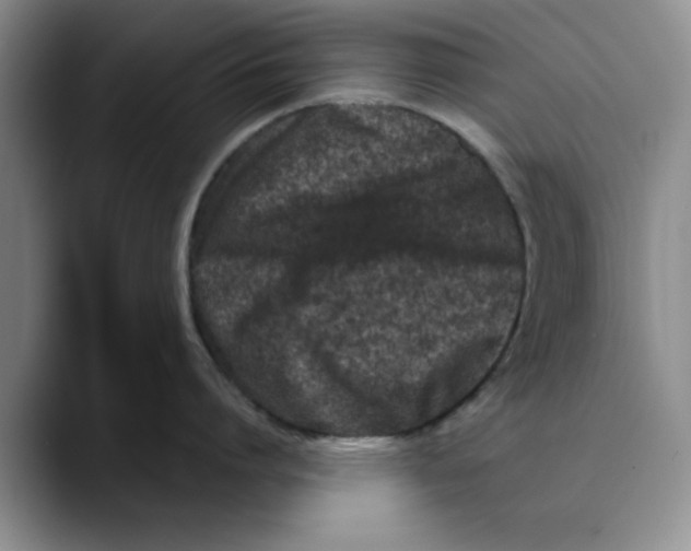 X0000089830864200707191825