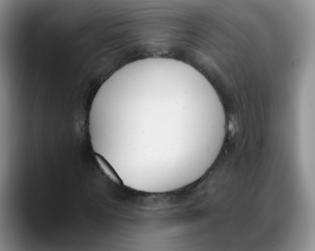 X0000089830867200707191824