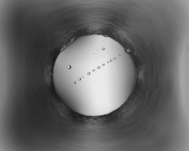 X0000089830868200707191824