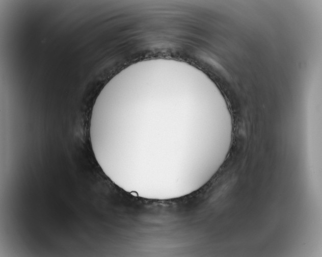 X0000089830869200707191824