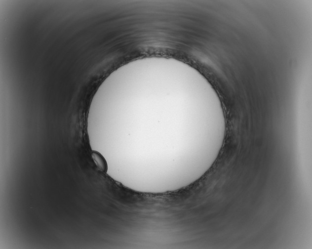 X0000089830870200707191824