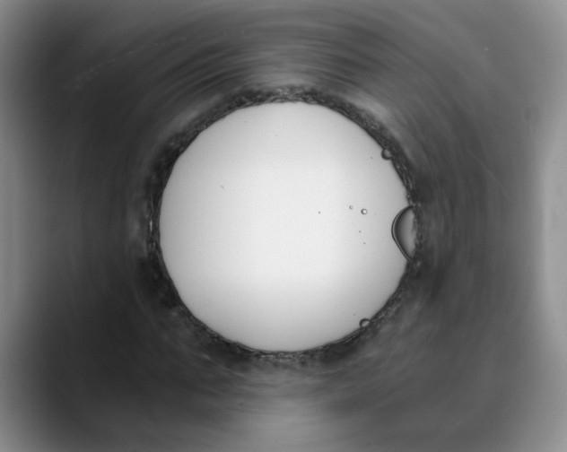 X0000089830871200707191824