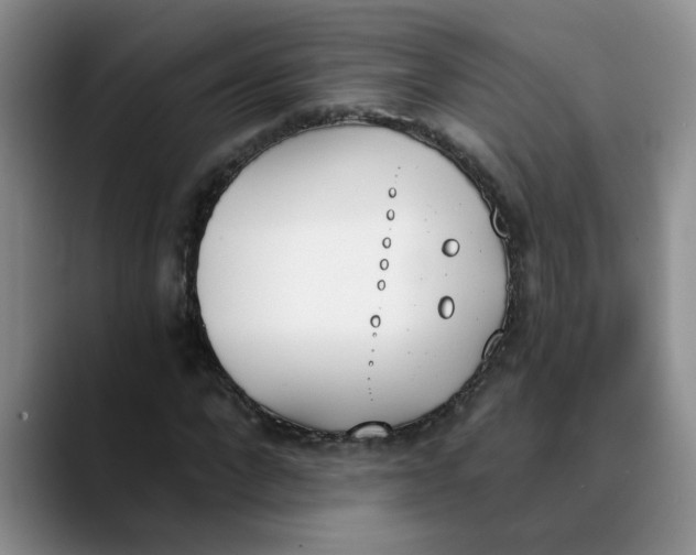 X0000089830872200707191824