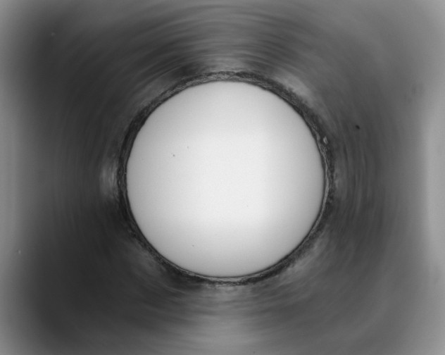 X0000089830873200707191824